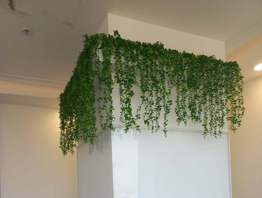 Greenscape Creation